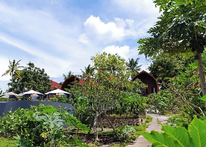 Kubuhill Sunset Orman Evi